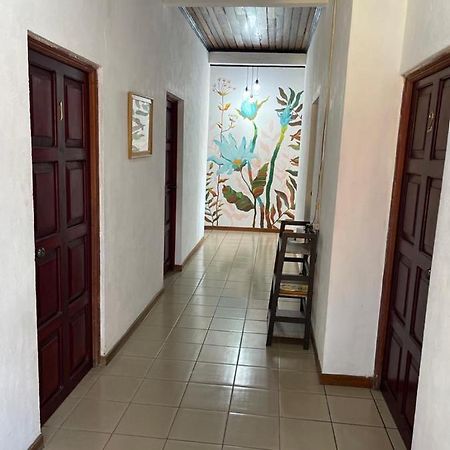 Hotel Villa Margarita Flores Kültér fotó